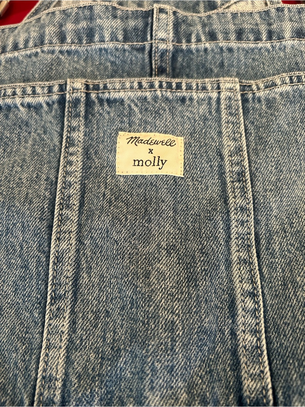 Madewell Light Blue Denim Back Panel with Molly Label 4x